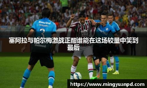 乐鱼体育APP