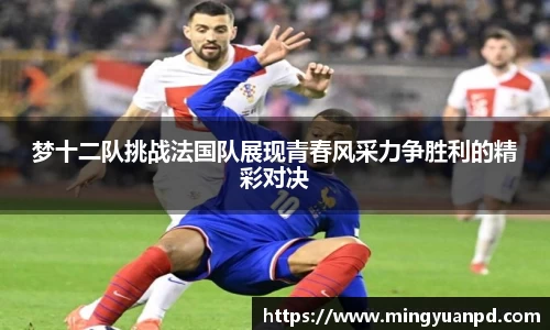 乐鱼体育APP