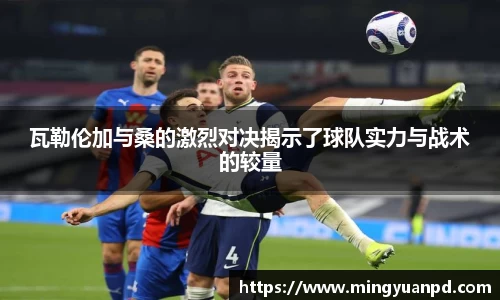 乐鱼体育APP
