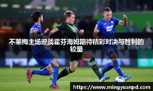 乐鱼体育平台
