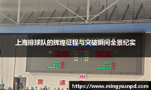 上海排球队的辉煌征程与突破瞬间全景纪实